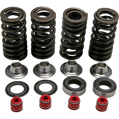 Kibblewhite Precision 30-30590 replacement valve Spring Kit