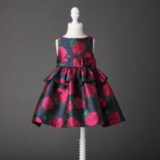 Janie  Jack Navy Pink Rose Peplum Party Dress 12-18 months