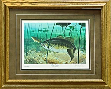 Les Kouba Bass Feedin Fishing Art Print-Framed 21 x 17