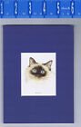 Birman Cat Art Print - 5 X 7 Matted