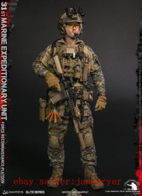 Perfect Damtoys 78089 1/6 31st U.S. Marine Corps Action Figure In Stock