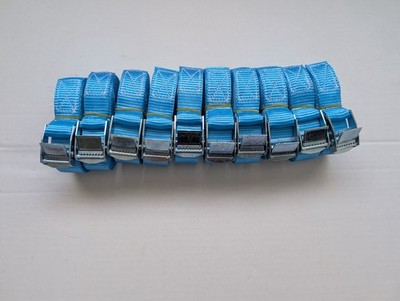 10 Stück Nockenschnalle Spanngurte Dachträger Tailers Cargo Paletten 25mm x 4m