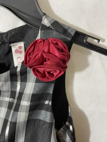 Cherokee Girl 4T Black, White and Silver stripe with red rose; red belt/bowGown - Picture 3 of 8