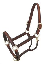 Western Dark Tan Leather Halter with Brass Fitting with Free Lead Chain