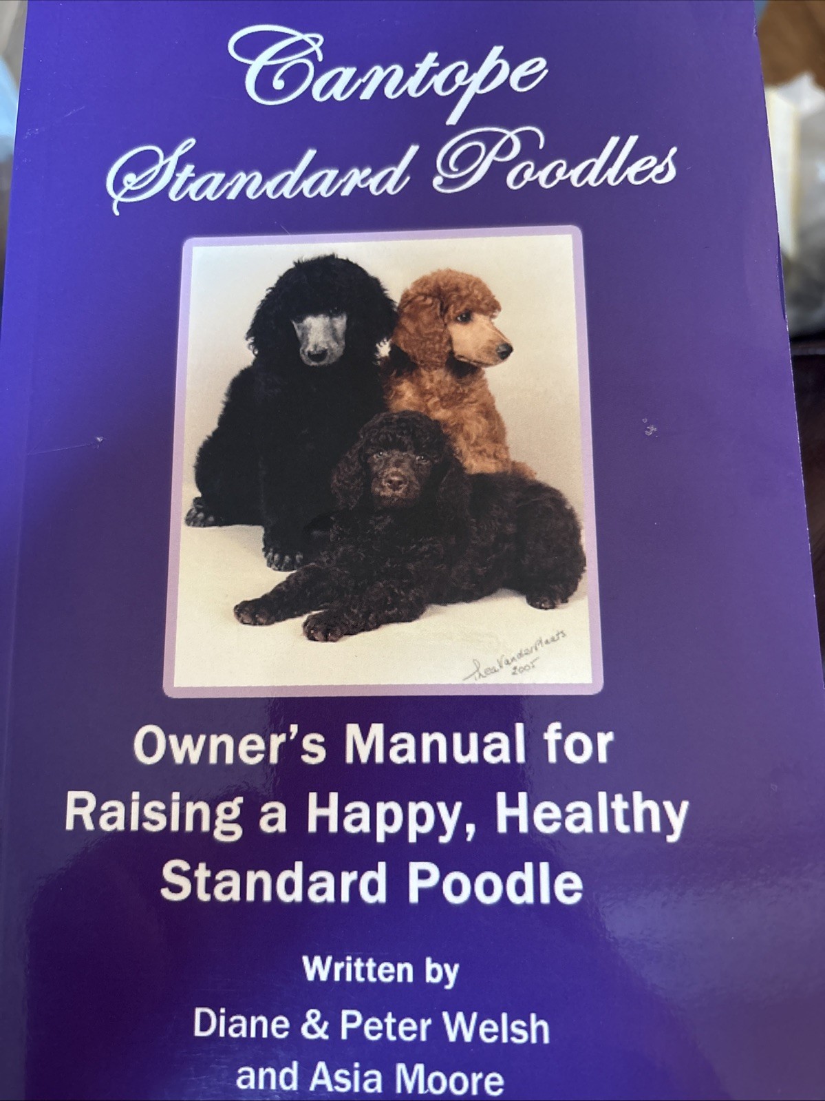 Cantope Standard Poodles Owner Manual Peter Welsh Dog PB Poodle