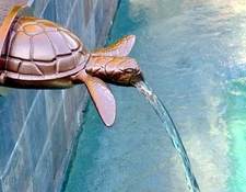 Sea Turtle Spillway and Sheer Descent Stunning Water Feature by Artista Pools