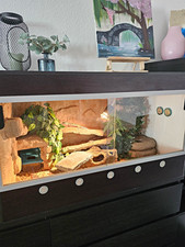 Hobby Glas-Terrarium mit Schiebet&uuml;ren inkl. Einrichtung, Bodengrund & W&auml;rmelampe