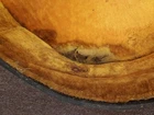 Picture 4 of 10