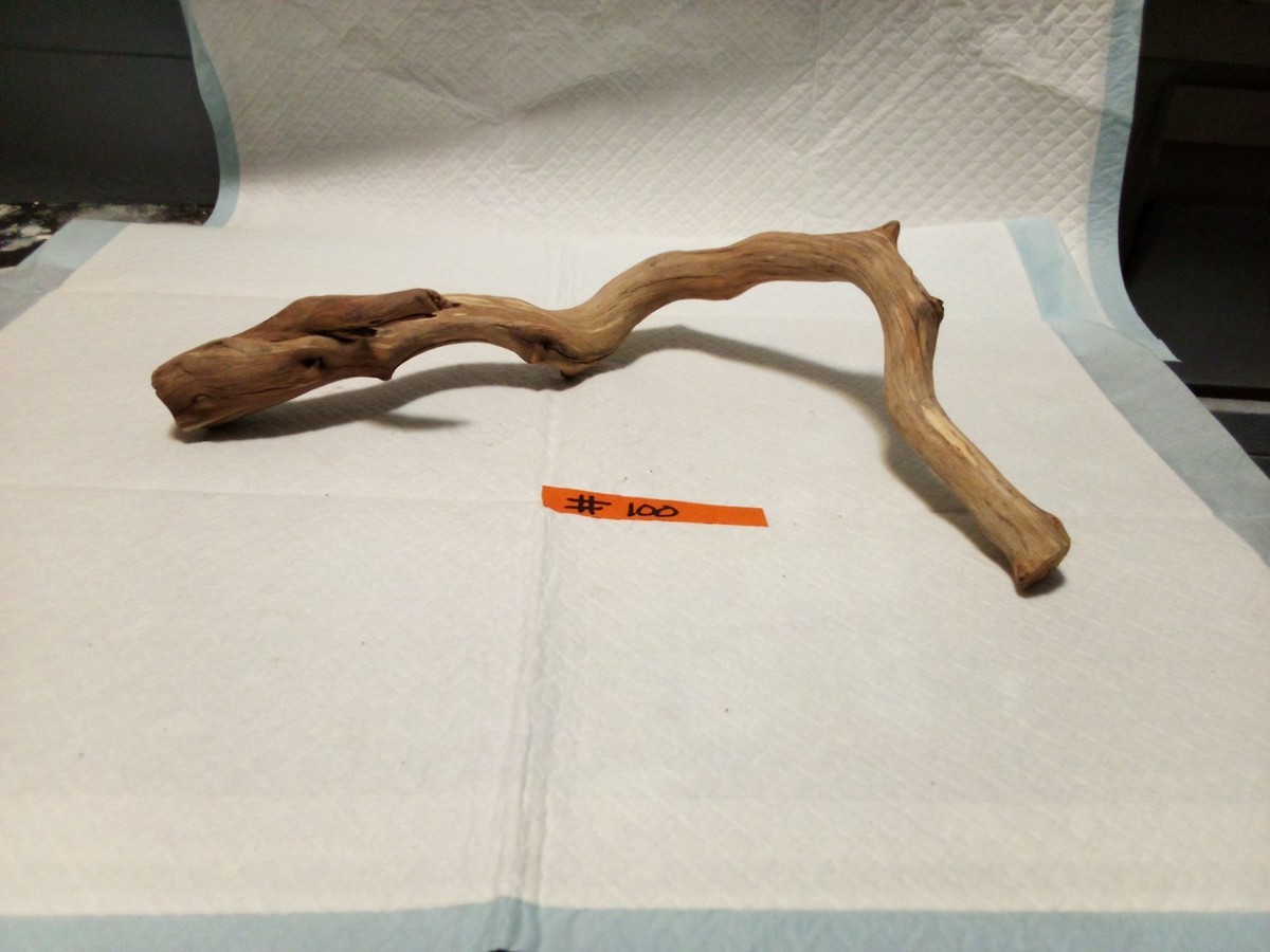 #101. Aquarium Driftwood Decoration