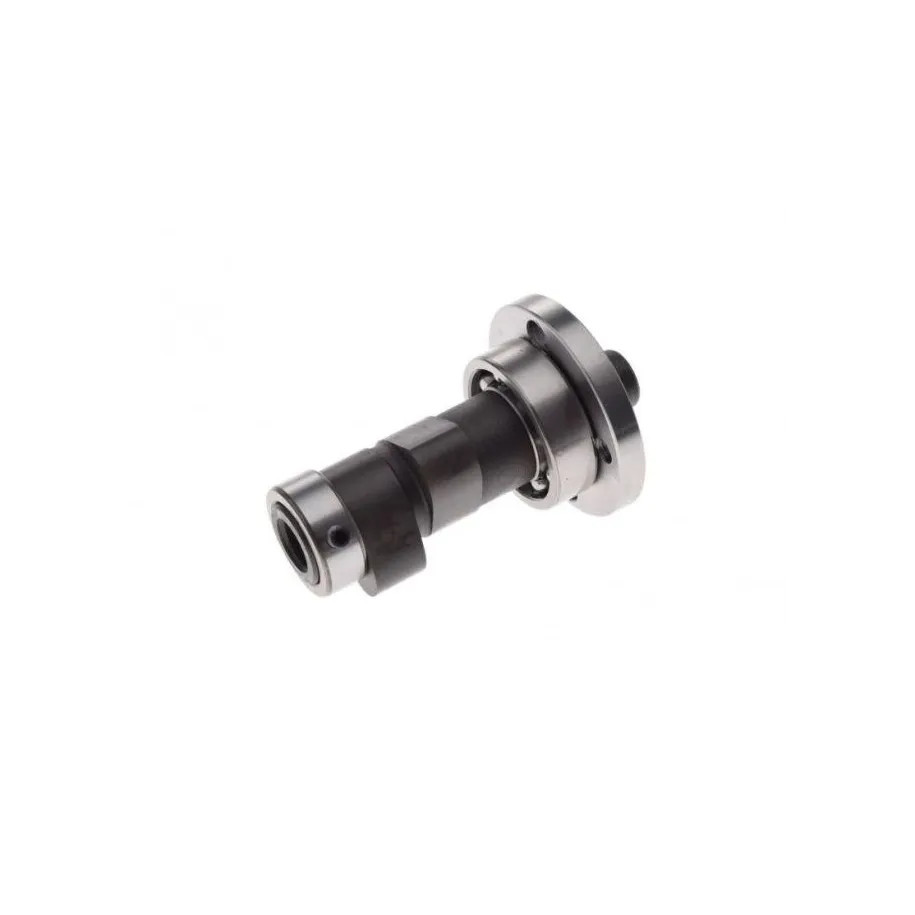 Arbre à cames quad ATV Bashan 250 pour réparation distribution moteur