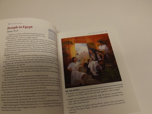 Kenne jetzt die Bibel - Taschenbuch von Edward Engelbrecht - Neu - Bild 9 von 11