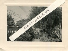 Photo of Andr� Marois in ORAN Ag�rie in 1961 in his garden