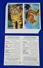 Brooke Bond PG Tips GOING WILD 1994  Full set of 20 Un-cut Doubles Loose