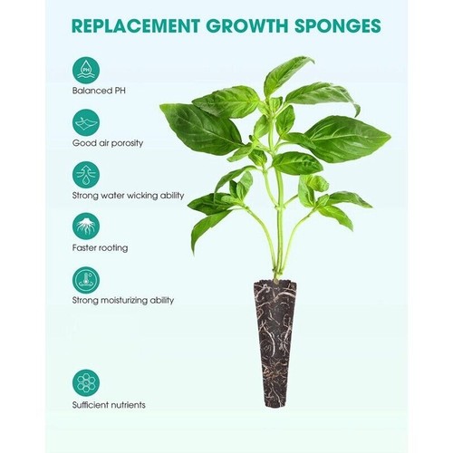 100pcs Grow Sponges, Seed Pods Replacement Root Growth Sponges For AeroGarden - Picture 3 of 8