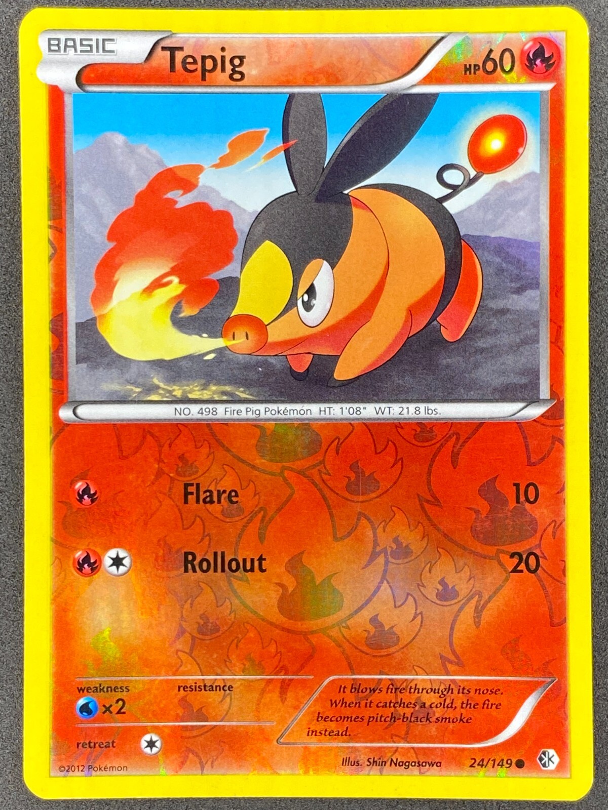 Pokémon Tepig Reverse Holo 24/149 Boundaries Crossed LP