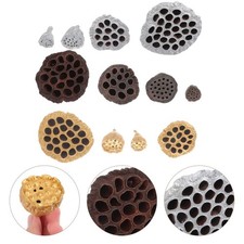 12 Pcs Heimdekorationen Wohnkultur Lotus Samen F&uuml;r Wohnung Hochzeitsdekoration