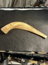 kosher ram shofar horn from israel Polished