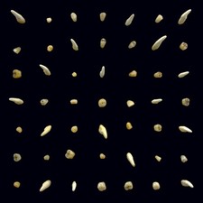 Clipping - Visions Of Bodies Being Burned New Cassette 