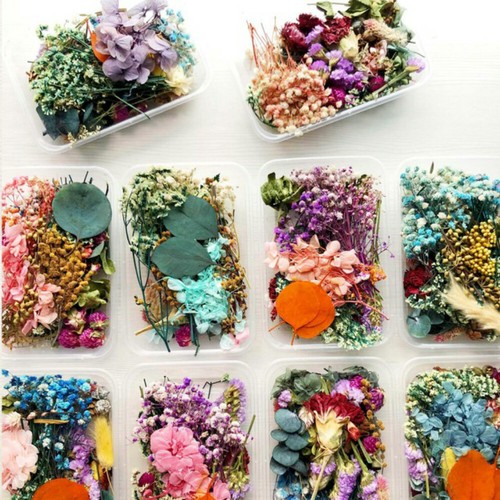 2/1x Real Dried Flower Dry Plant For Aromatherapy Candle Epoxy Resin Pendant DIY - Picture 2 of 6