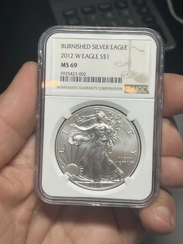 2012 W Burnished Silver American Eagle NGC MS69 - Brown Label #JJ40