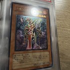 Foto 3 di 7