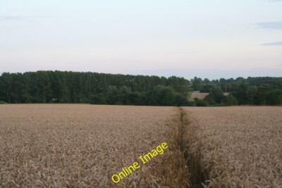 Photo 6x4 Footpath from Sausthorpe to Hundleby Spilsby Dropping down to T c2014