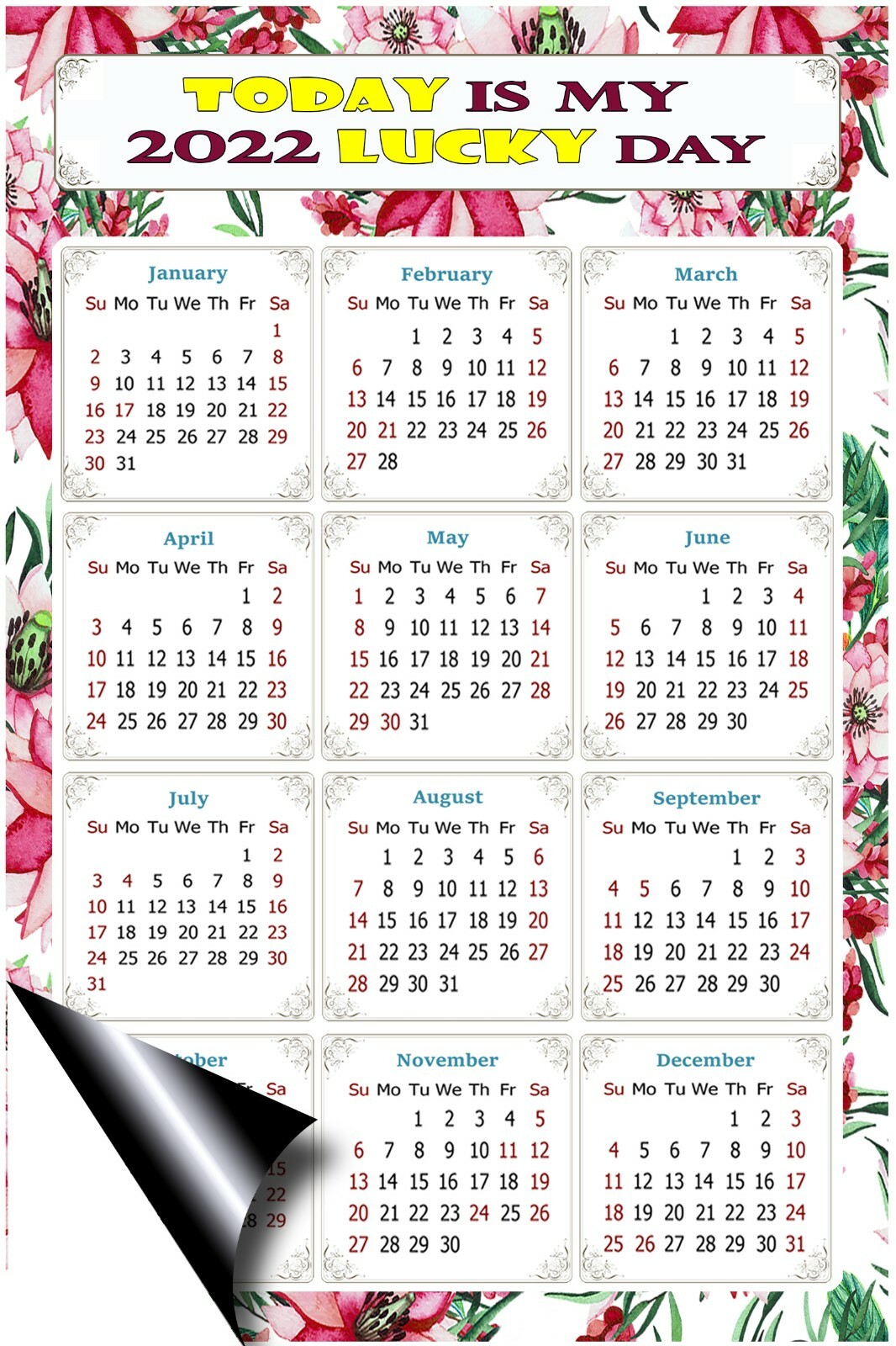 22 Magnetic Calendar Today Is My Lucky Day Themed 018 5 25 X 8 Ebay
