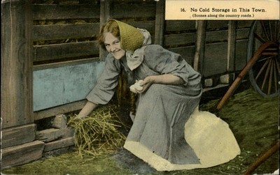 Farm woman collecting eggs in barn ~ No 16 Scenes along country roads ~ postcard