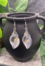 2.25  Silver-tone Sea Shell Drop Dangle Earring Set New Free Ship B7748