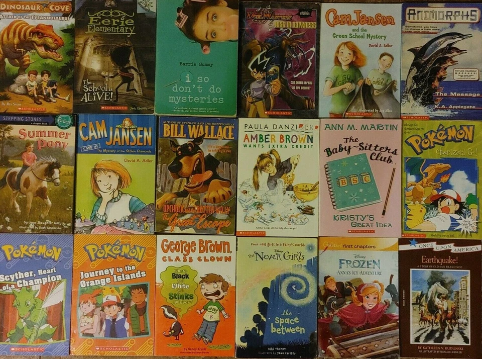 RANDOM Lot of 10 3rd Grade Chapter Books ACCELERATED READER Level 3 Unsorted Mix Foto 2 de 4