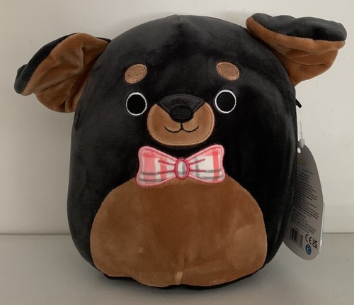 Kellytoy Squishmallow Mateo the Rottweiler Dog Squad Plush 7.5 inch NWT ...