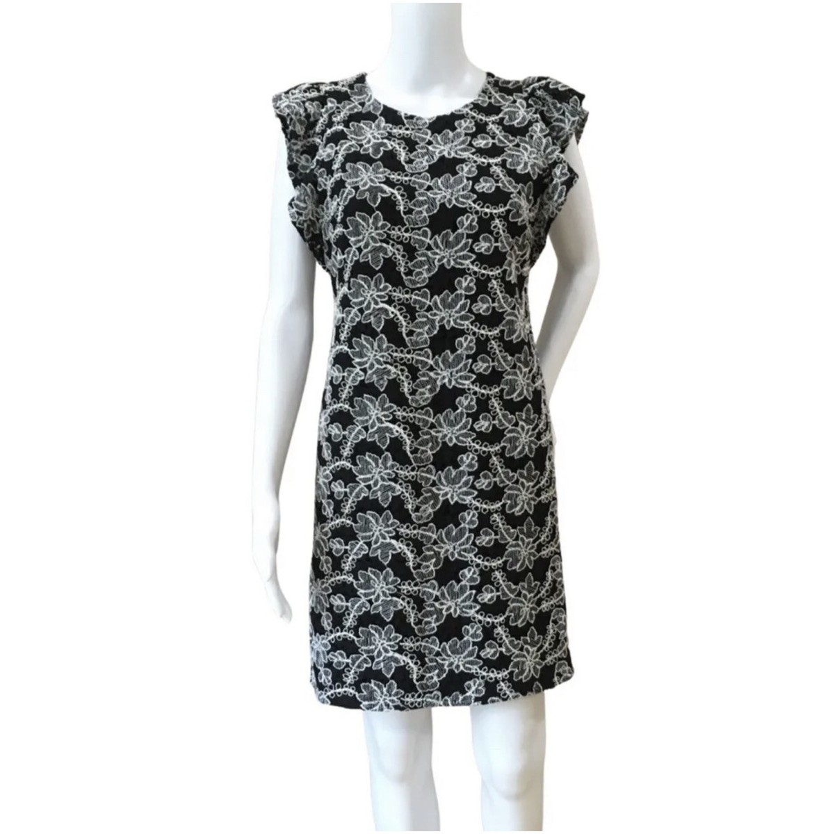 ann taylor Shift Dress womens lace embroidered Flutter Sleeve black White size 2 | eBay ann taylor Shift Dress womens lace embroidered Flutter Sleeve black White size 2 | eBay