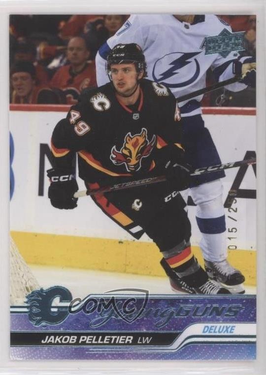 2023 Upper Deck Series 1 Young Guns Deluxe 15/250 Jakob Pelletier Rookie RC 0l2r