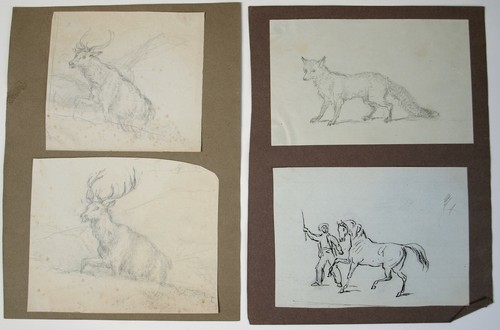 4 x 19. Jahrhundert ungeschriebene Zeichnungen von Hirschen ein Fuchs und ein Pferd. Jagd. - Bild 1 von 3