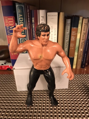 LJN WWF Ricky The Dragon Steamboat Titan Vintage 1...