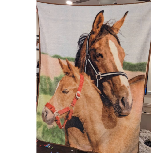 Fleece Blanket with Horse and Colt - Picture 1 of 4