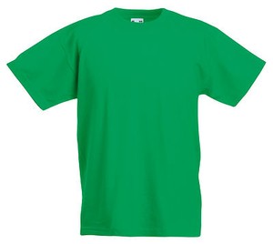 plain shirt green