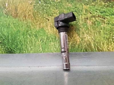 036905715G zündspule SKODA FABIA 5J2 YOUNG delcp4093452