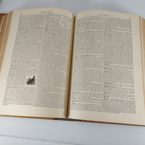 People's Cyclopedia of Universal Knowledge Vol 1 A-E 17th Edition 1887 Illus HC - Picture 15 of 20