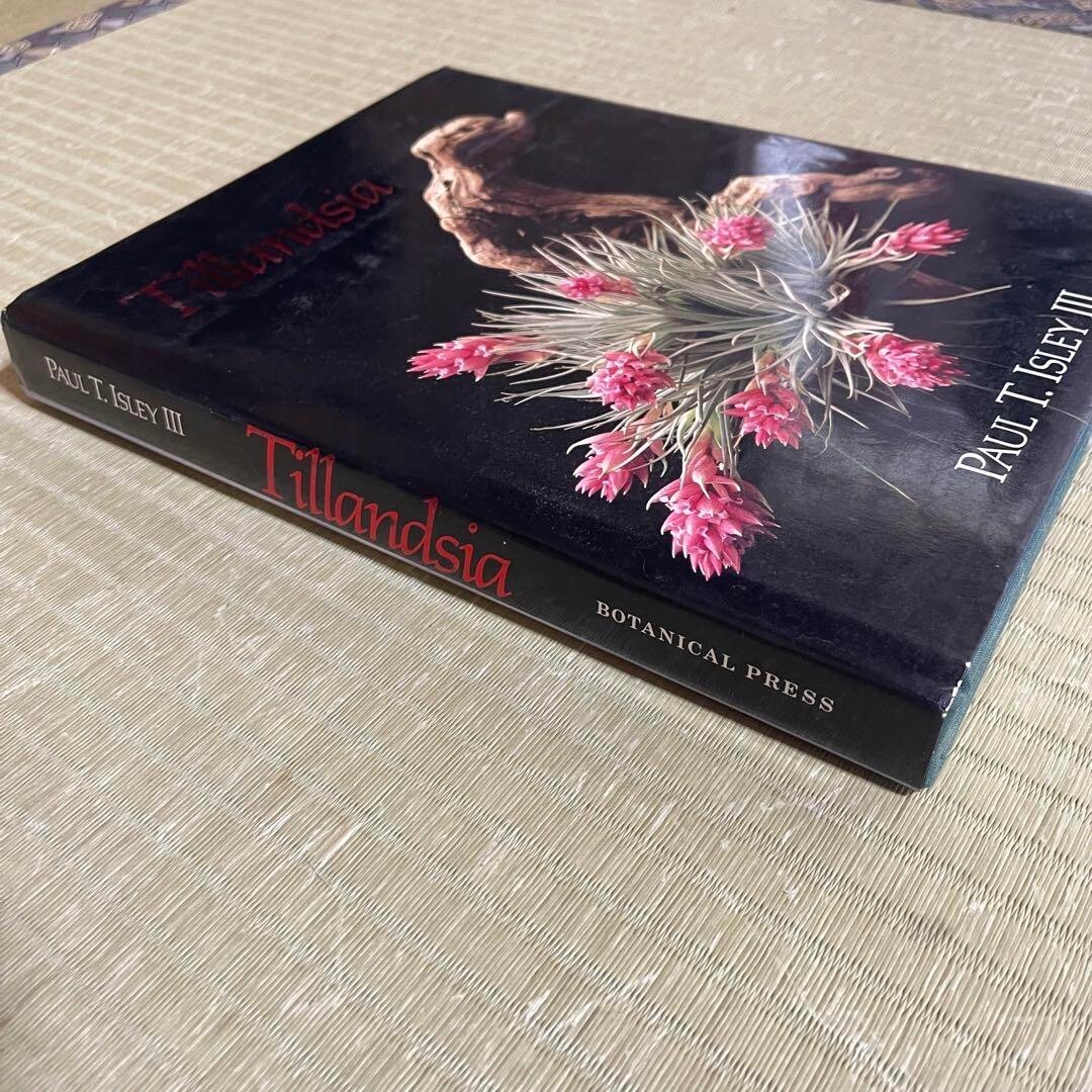 キューハイ様　TillandsiaII by Paul T. Isley III 送料無料】Tillandsia II by Paul T. Isley III 〔Picture book