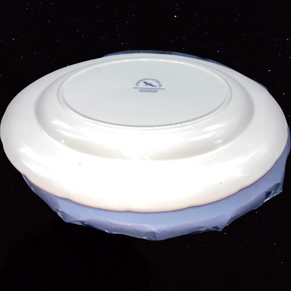 Ravensdale Pottery LTD Staffordshire England Exotic Bird Black 11" Oval