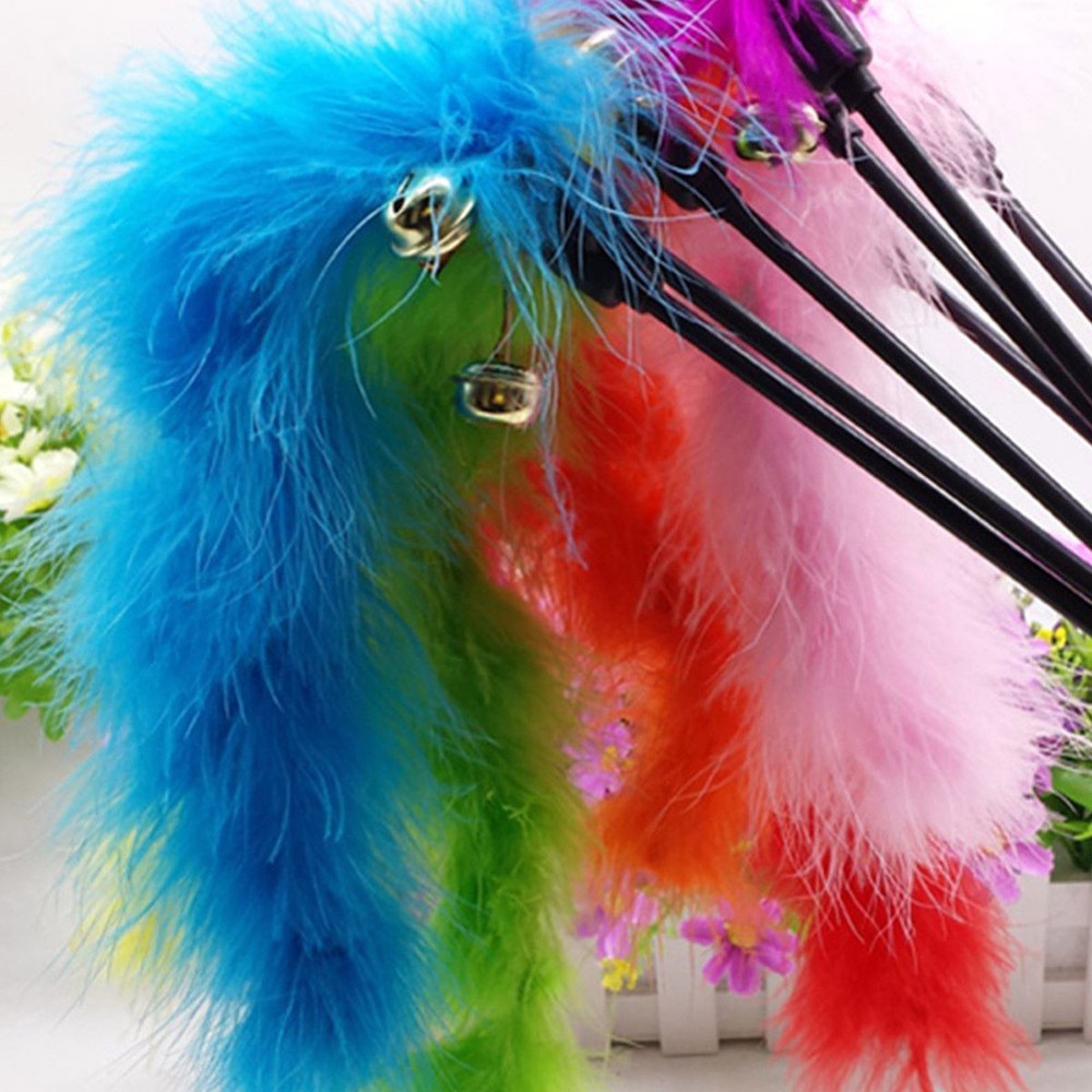 Interactive Cat Kitten Toy with Turkey Feather and Wire Chaser Wand