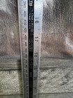 Bild 12 von 13