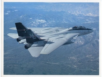 1980s Grumman F-14A Tomcat NL Original Specification Sheet Lithograph Print