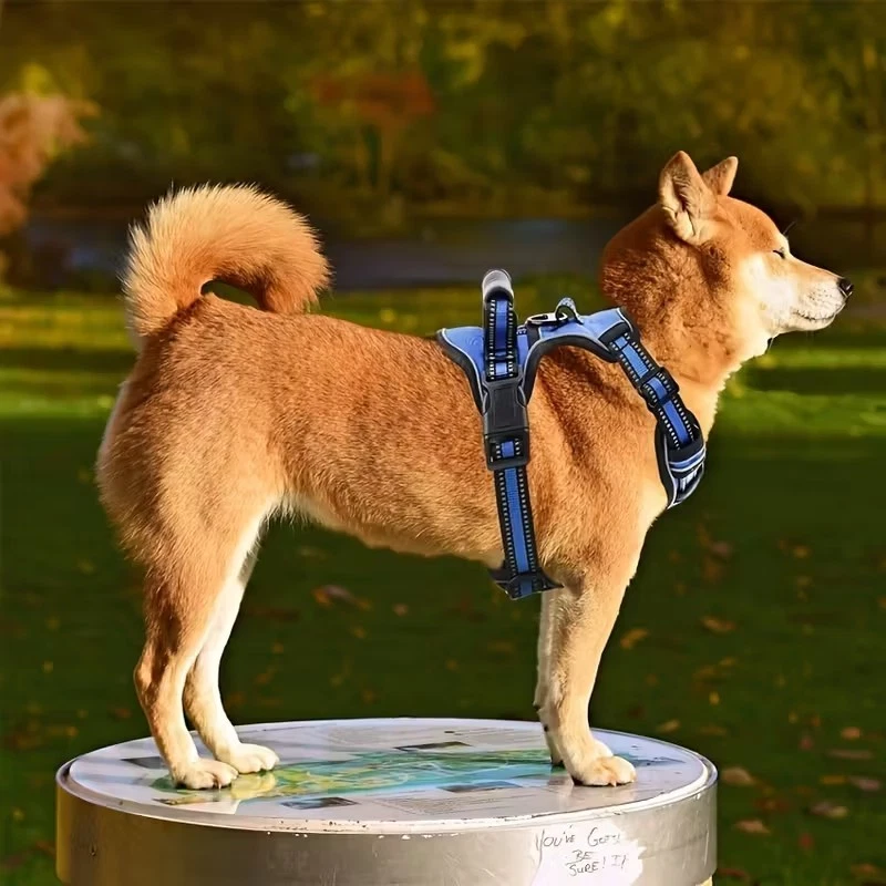 dog harness