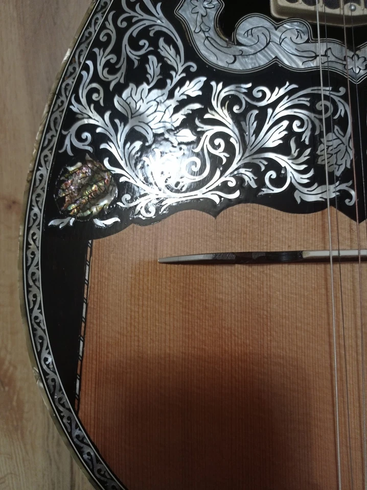 Grego Bouzouki OFERTA ESPECIAL-Hardcase & Pickup & 300 Backing Track & Pdf Pontuações - Imagem 4 de 4