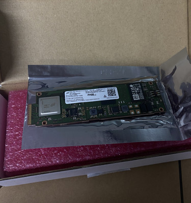 4.0 1700TBW/1DWPD SSD PRO 960GB MICRON E1.s 7400 MTFDKBZ960TDZ-1AZ15ABYY
