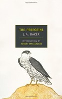 The Peregrine (new York Review Books Classics) By J.a. Baker, (paperback), Nyrb on sale The Peregrine (new York Review Books Classics) By J.a. Baker, (paperback), Nyrb on sale