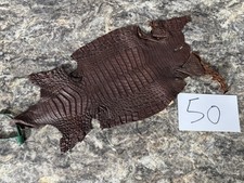 Brown Genuine Caiman Crocodile Hide Leather Skin real alligator Croc 50