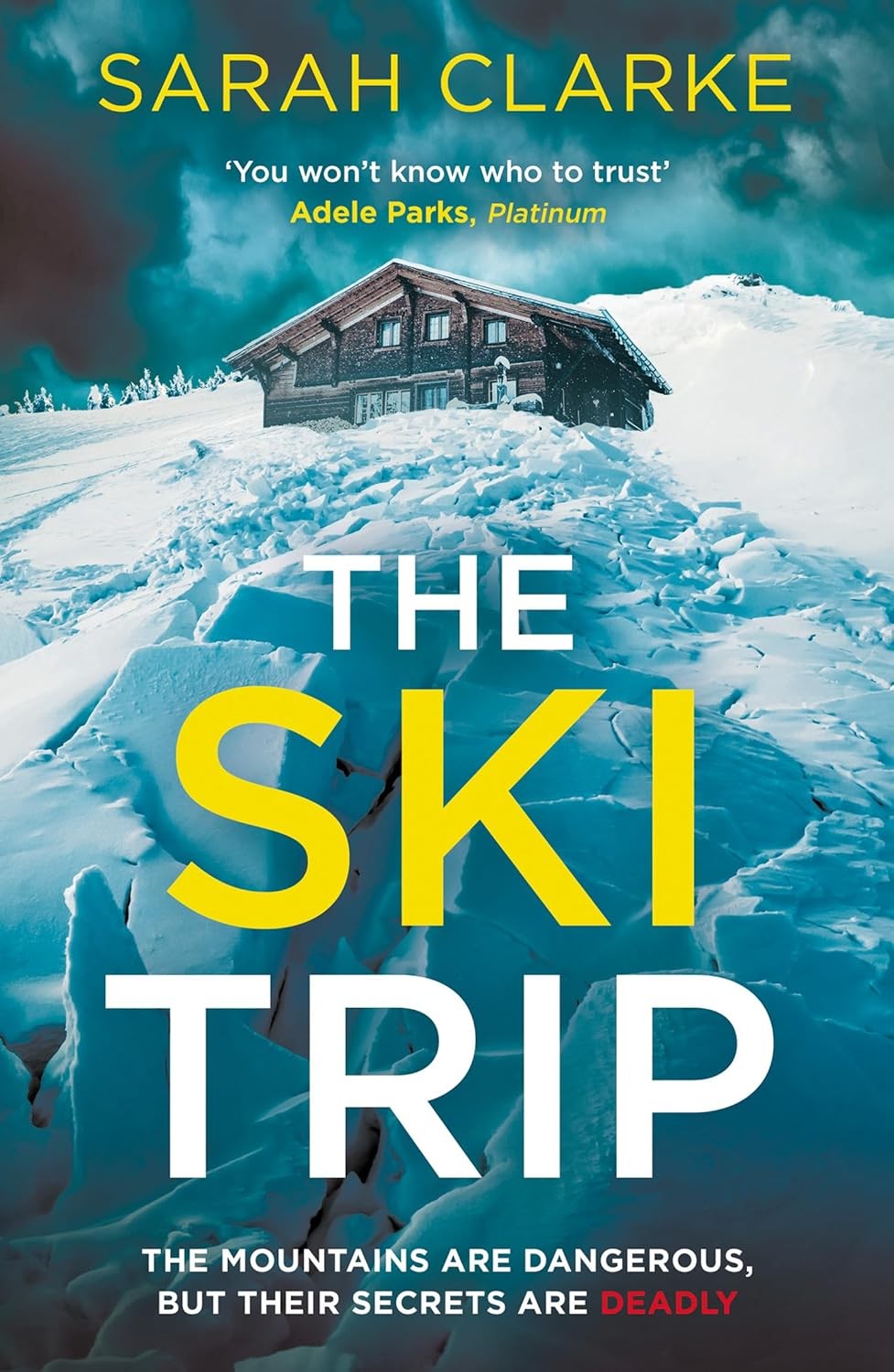 Ski Trip - Image 8
